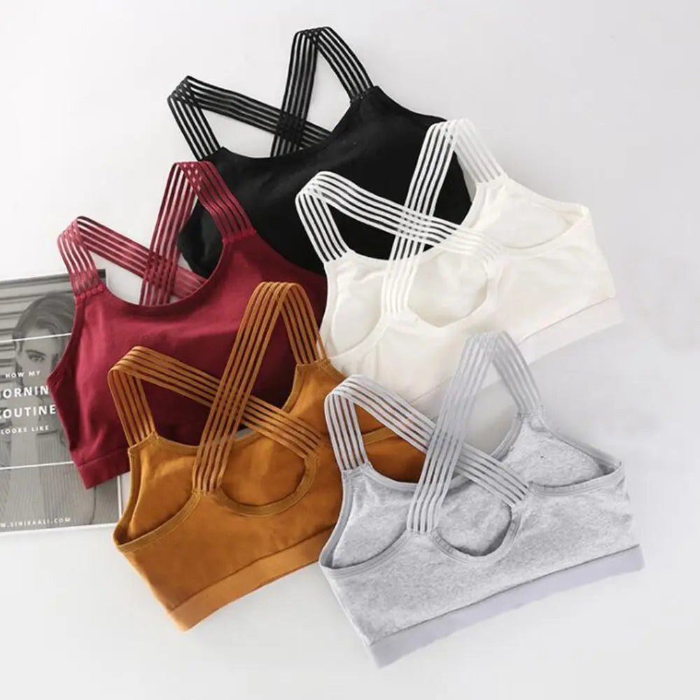 Sujetador deportivo sin costuras para mujer, top de fitness para gimnasio y yoga, sujetador deportivo push-up a prueba de golpes para correr, yoga y gimnasio, top corto transpirable para entrenamientos. 